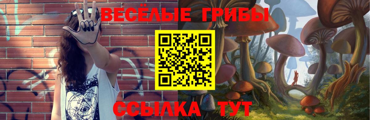 Галлюциногенные грибы ЛСД  Вход с VPN  Мытищи 